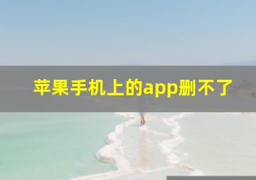 苹果手机上的app删不了