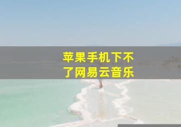 苹果手机下不了网易云音乐