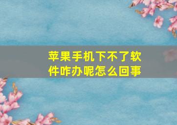 苹果手机下不了软件咋办呢怎么回事