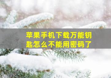 苹果手机下载万能钥匙怎么不能用密码了