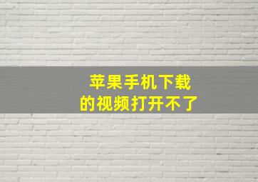 苹果手机下载的视频打开不了