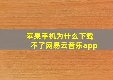 苹果手机为什么下载不了网易云音乐app