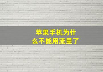 苹果手机为什么不能用流量了