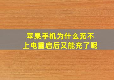 苹果手机为什么充不上电重启后又能充了呢