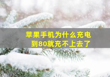 苹果手机为什么充电到80就充不上去了