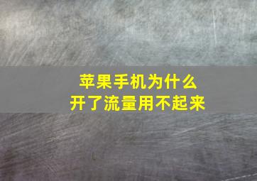 苹果手机为什么开了流量用不起来