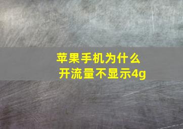 苹果手机为什么开流量不显示4g