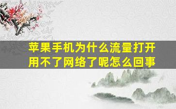 苹果手机为什么流量打开用不了网络了呢怎么回事