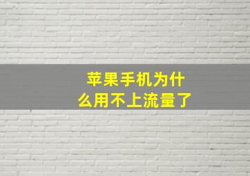 苹果手机为什么用不上流量了