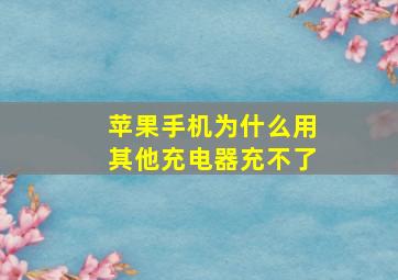 苹果手机为什么用其他充电器充不了