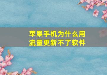 苹果手机为什么用流量更新不了软件