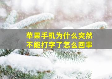 苹果手机为什么突然不能打字了怎么回事