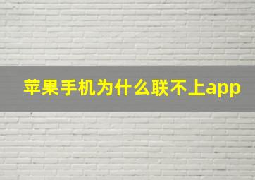 苹果手机为什么联不上app