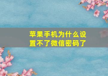 苹果手机为什么设置不了微信密码了