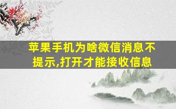 苹果手机为啥微信消息不提示,打开才能接收信息