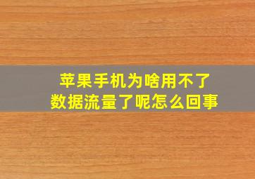 苹果手机为啥用不了数据流量了呢怎么回事