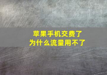 苹果手机交费了为什么流量用不了