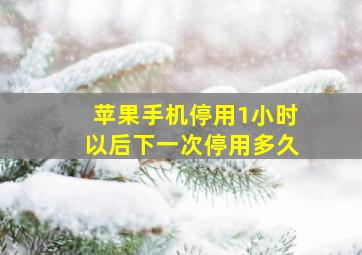 苹果手机停用1小时以后下一次停用多久