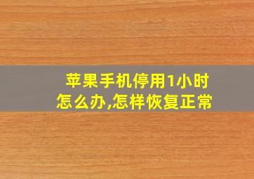 苹果手机停用1小时怎么办,怎样恢复正常