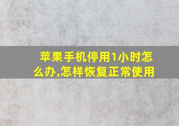 苹果手机停用1小时怎么办,怎样恢复正常使用