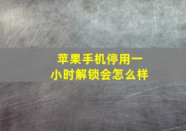 苹果手机停用一小时解锁会怎么样