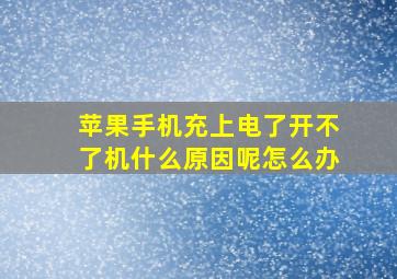 苹果手机充上电了开不了机什么原因呢怎么办