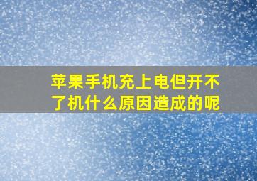 苹果手机充上电但开不了机什么原因造成的呢