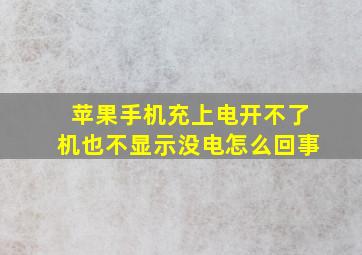 苹果手机充上电开不了机也不显示没电怎么回事