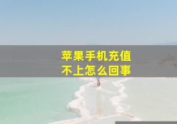 苹果手机充值不上怎么回事