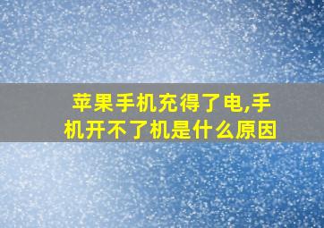 苹果手机充得了电,手机开不了机是什么原因