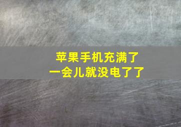 苹果手机充满了一会儿就没电了了