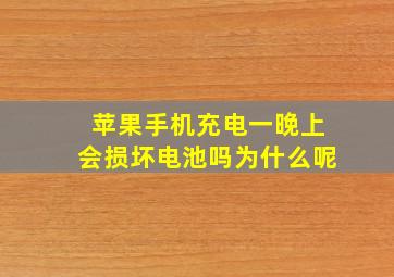 苹果手机充电一晚上会损坏电池吗为什么呢