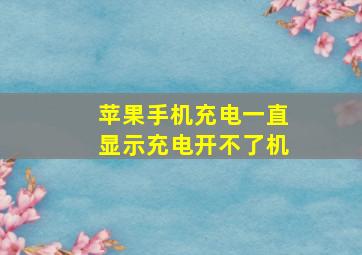 苹果手机充电一直显示充电开不了机