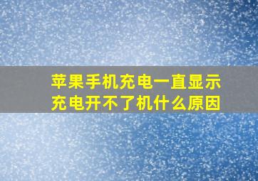 苹果手机充电一直显示充电开不了机什么原因