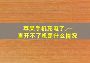 苹果手机充电了,一直开不了机是什么情况