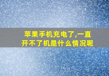 苹果手机充电了,一直开不了机是什么情况呢