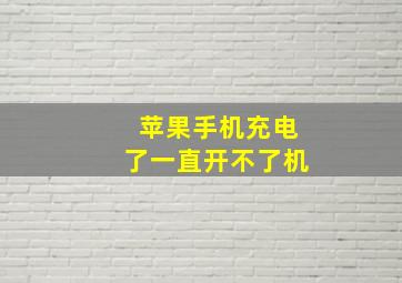 苹果手机充电了一直开不了机