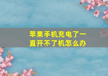 苹果手机充电了一直开不了机怎么办