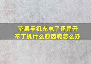 苹果手机充电了还是开不了机什么原因呢怎么办