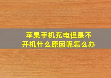 苹果手机充电但是不开机什么原因呢怎么办