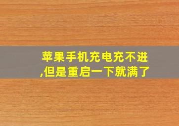 苹果手机充电充不进,但是重启一下就满了