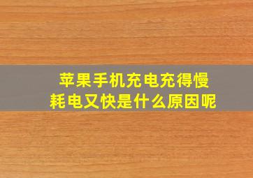 苹果手机充电充得慢耗电又快是什么原因呢