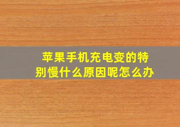 苹果手机充电变的特别慢什么原因呢怎么办