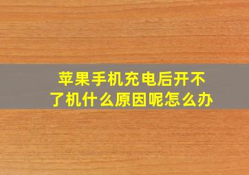 苹果手机充电后开不了机什么原因呢怎么办