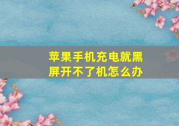 苹果手机充电就黑屏开不了机怎么办