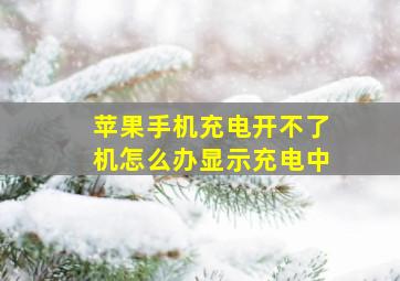 苹果手机充电开不了机怎么办显示充电中