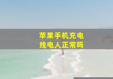 苹果手机充电线电人正常吗