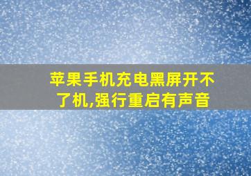 苹果手机充电黑屏开不了机,强行重启有声音