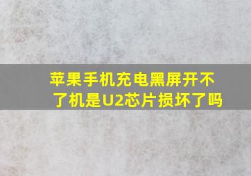 苹果手机充电黑屏开不了机是U2芯片损坏了吗