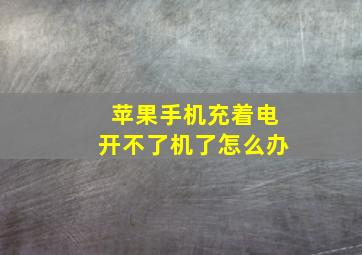 苹果手机充着电开不了机了怎么办